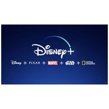 Plan 120 días : Disney Plus Privada
